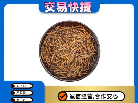 吴忠市利通回收散虫草
